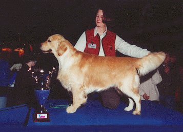 BIG Montlu&ccedil;on