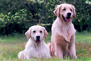 O'Neill of GS et sa soeur Out of the World of GS