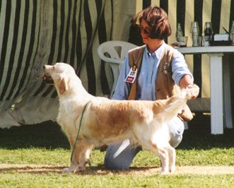 Sharon &agrave; la Nationale d'Elevage 2001